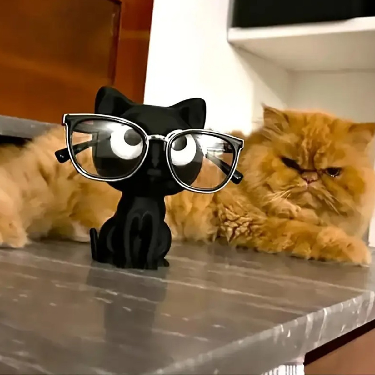 3D Printed Cat Eyeglasses Fram - 3D Printing Glasses Frames recensione e prezzo